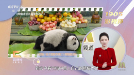 国产视频一二